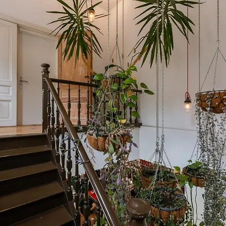 Huswell - The Jungle' In The Heart Of