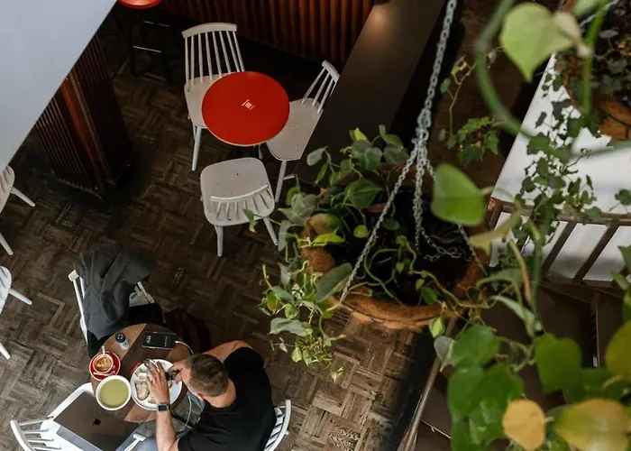 Huswell - The Jungle' In The Heart Of Appartamento