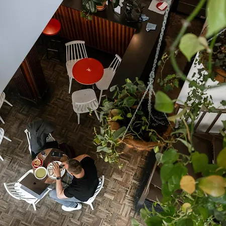 Huswell - The Jungle' In The Heart Of Apartamento