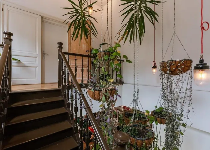 Huswell - The Jungle' In The Heart Of